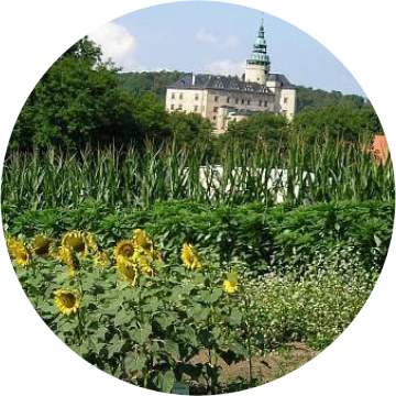 Vánoční akademie