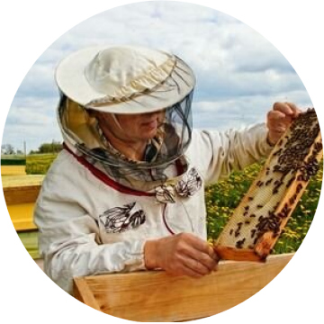 Jiřinky akce školy